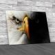 Eagle Close Up Portrait Canvas Print Large Picture Wall Art