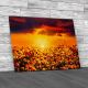 Field Of Flowers In Sunset Canvas Print Large Picture Wall Art