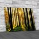 Morning Scene In The Forest Canvas Print Large Picture Wall Art