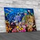 Corals And Fishes 2 Canvas Print Large Picture Wall Art