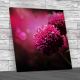 Floral Dahlia Flower Square Canvas Print Large Picture Wall Art