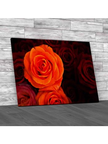 Floral Roses Canvas Print Large Picture Wall Art