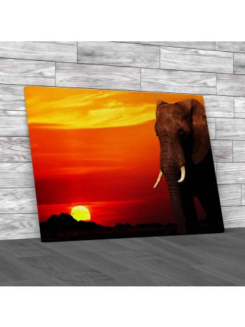 African Elephant Sunset Canvas Print Large Picture Wall Art