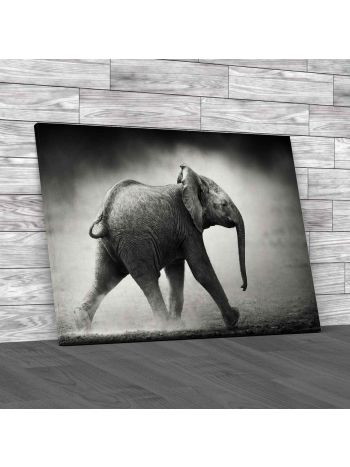 Running Baby Elephant Canvas Print Large Picture Wall Art