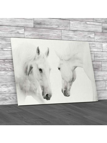 Lovely Couple of Horses Canvas Print Large Picture Wall Art