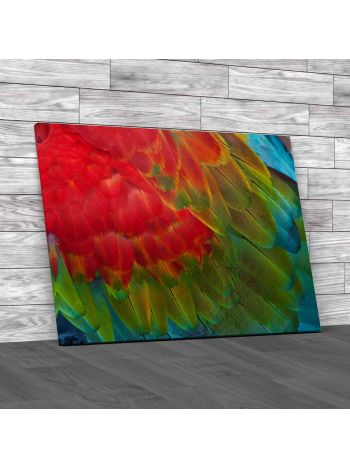 Colorful Macaw Plumage Canvas Print Large Picture Wall Art