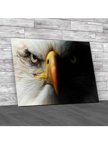 Eagle Close Up Portrait Canvas Print Large Picture Wall Art