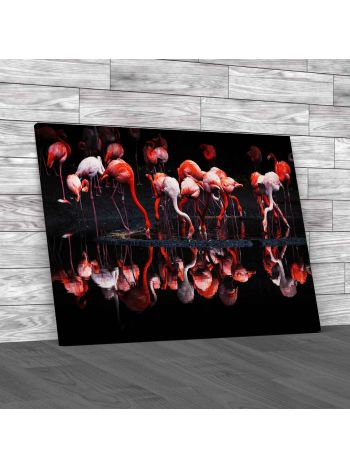 Flamingos Standing Mirrored In Lake Canvas Print Large Picture Wall Art