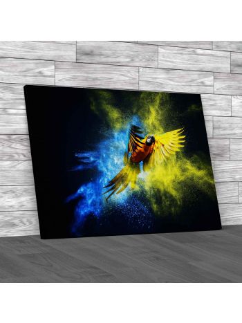 Flying Ara Parrot Canvas Print Large Picture Wall Art