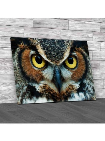 Great Horned Owl Canvas Print Large Picture Wall Art