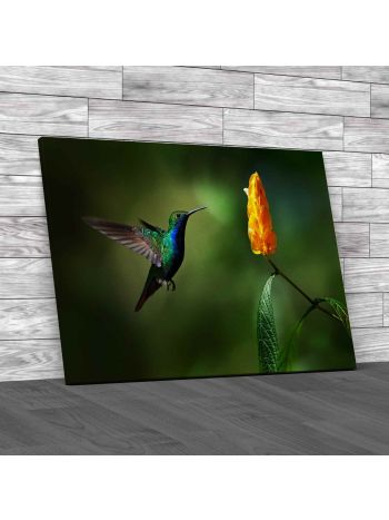 Green And Blue Hummingbird Canvas Print Large Picture Wall Art