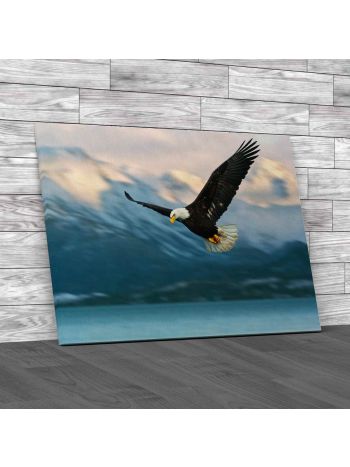 American Bald Eagle In Flight Canvas Print Large Picture Wall Art