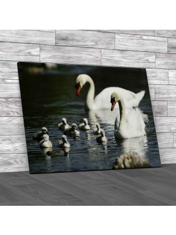 Swan With Cygnets Canvas Print Large Picture Wall Art