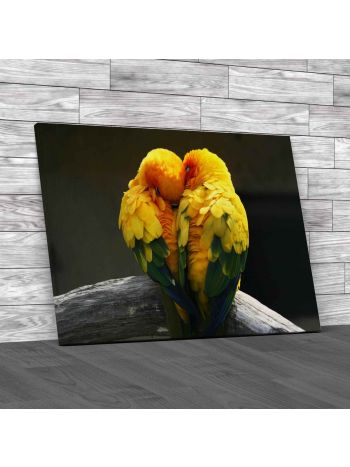 Pair Lovebirds Canvas Print Large Picture Wall Art